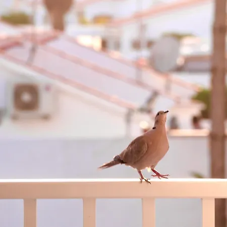 Apartment Moon Dunes - By Yumbo Center -