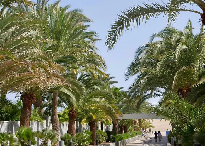 Moon Dunes - By Yumbo Center - Apartment *